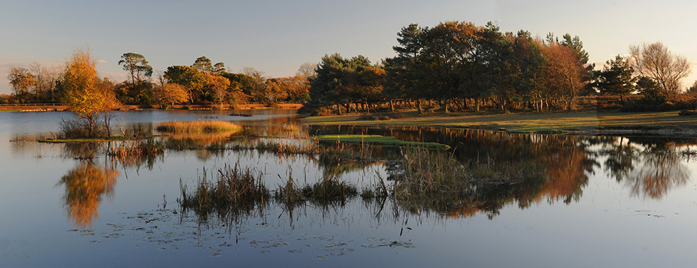 Autumn Hatchet Pond Panorama